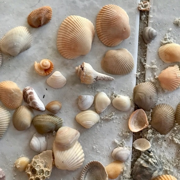 Custom shell bundle — PLEASE READ - Picture 4 of 16